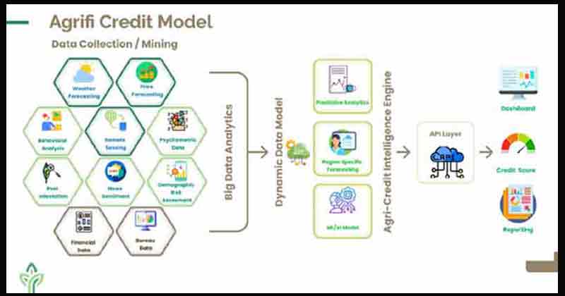 Agrifi credit model