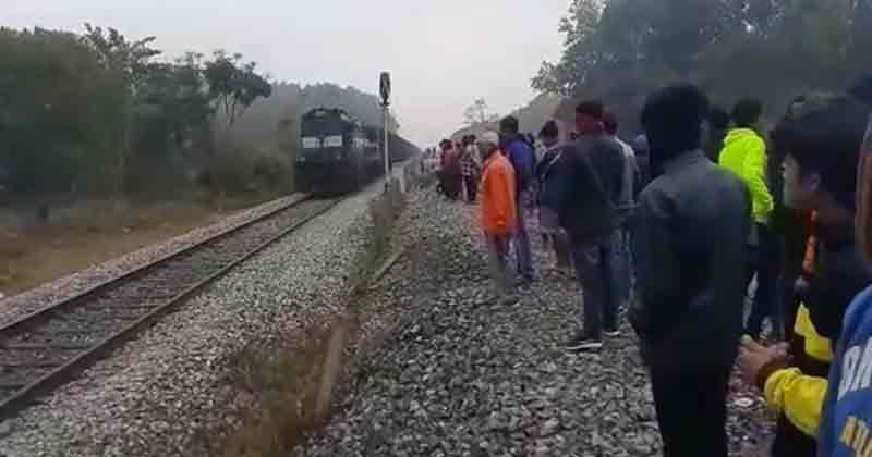 One Elephant Killed, Another Injured After Being Hit By Speeding Train In Assam